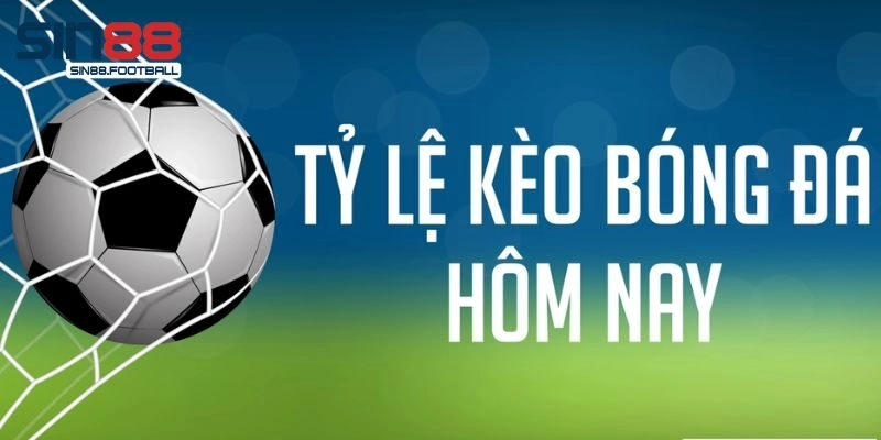 Kinh nghiệm bạn mới phân tích tỷ lệ kèo